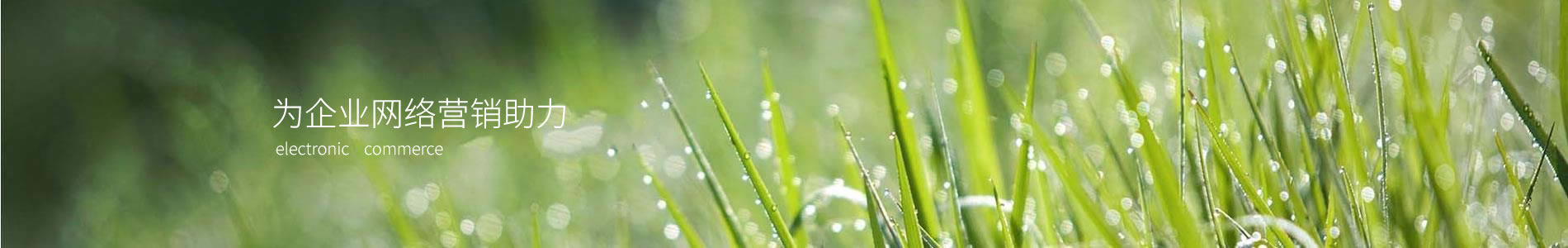 ݸ󻷱Ƽ޹˾